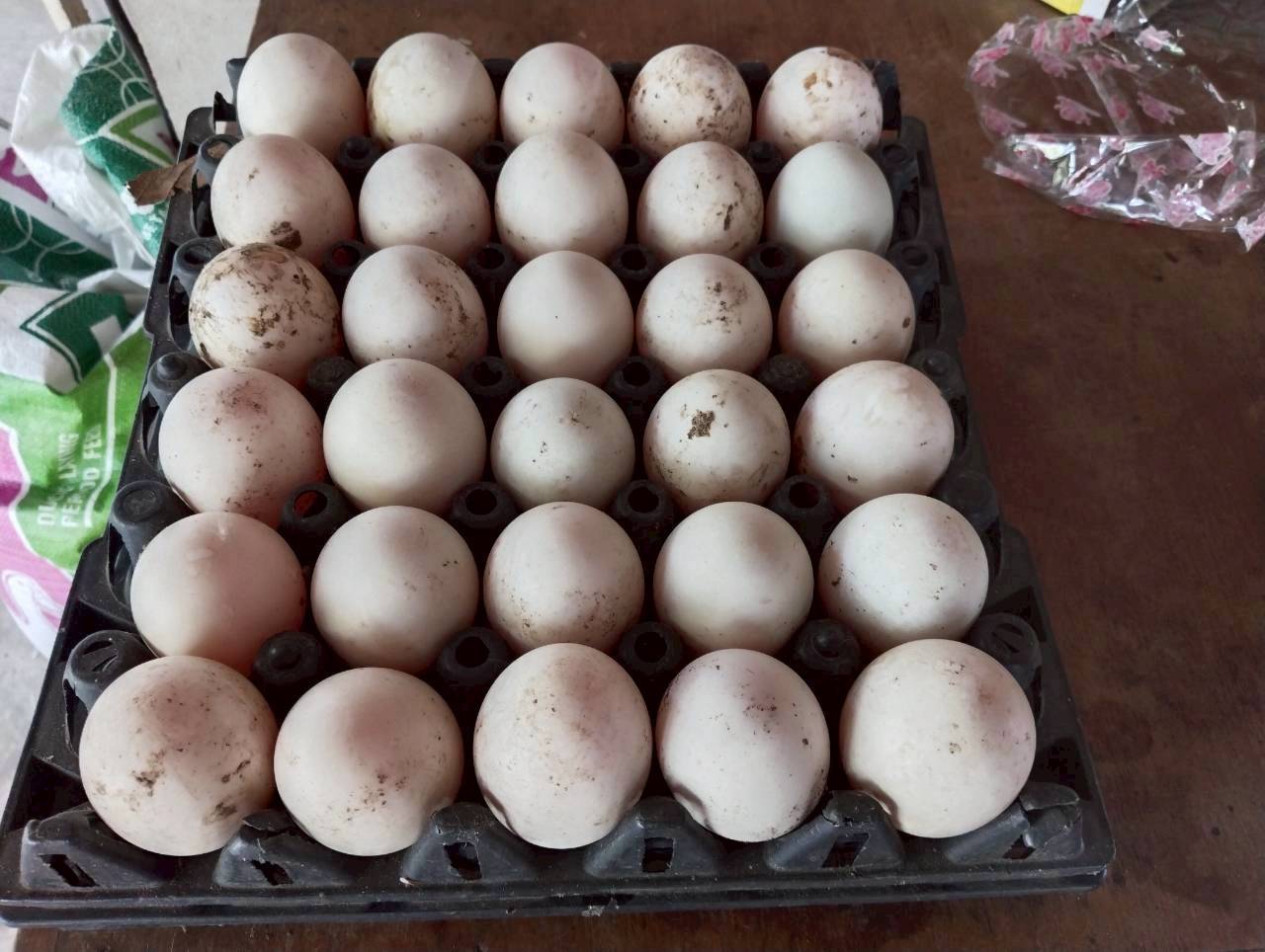 title - ผู้ตรวจราชการ ส.ป.ก. ประชุมตรวจติดตามความก้าวหน้าผลการดำเนินงานตามแผนการตรวจราชการ ประจำปีงบประมาณ พ.ศ. 2569 รอบที่ 1 เขตตรวจราชการที่ 2 จังหวัดนครปฐม และลงพื้นที่ตรวจเยี่ยมเกษตรกรในเขตปฏิรูปที่ดินจังหวัดนครปฐม